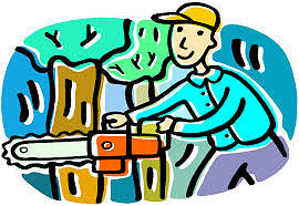 wycinka.drzew,m3uEoqqormmCrMebapI.jpg [27.71 KB]