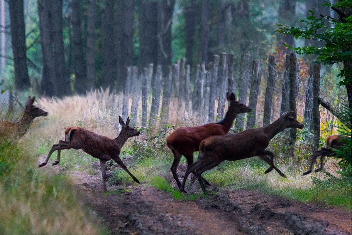 foto.jpg [251.59 KB]