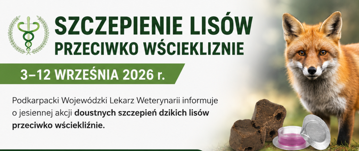 Jesienna akcja szczepienia lisów Banner.png