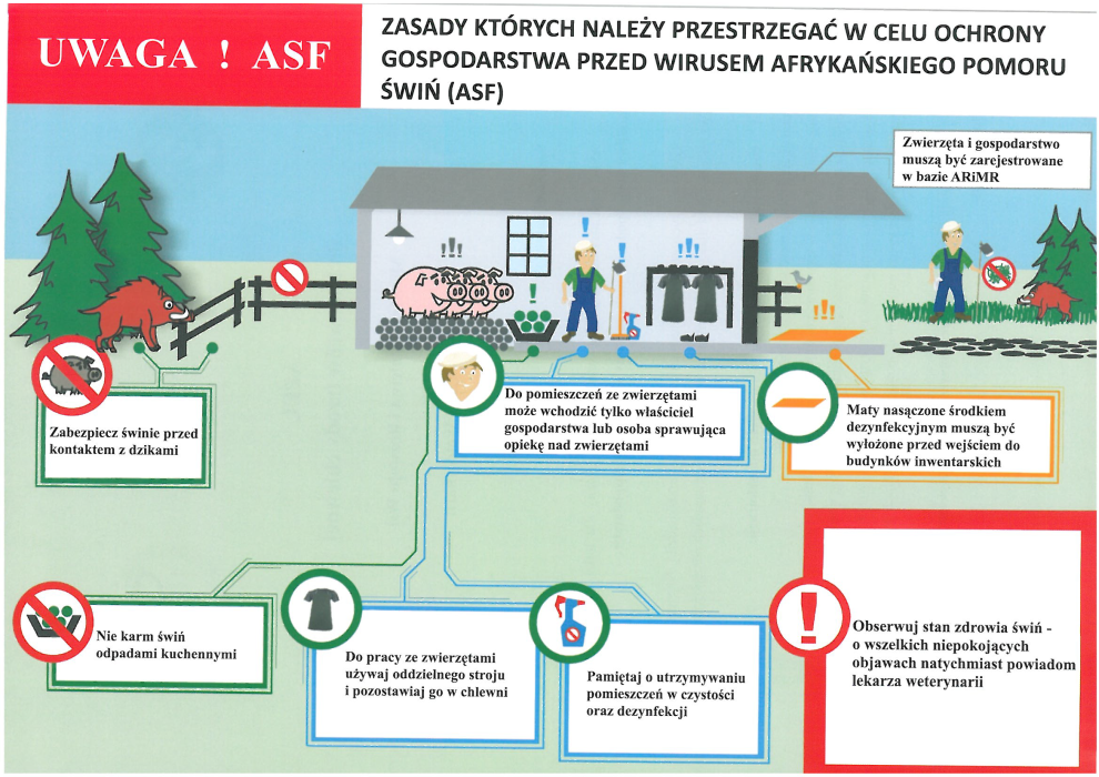 Ulotka ASF cz. II zasady których należy przestrzegać w celu ochrony gospodarstwa przed wirusem ASF_Strona_1.png