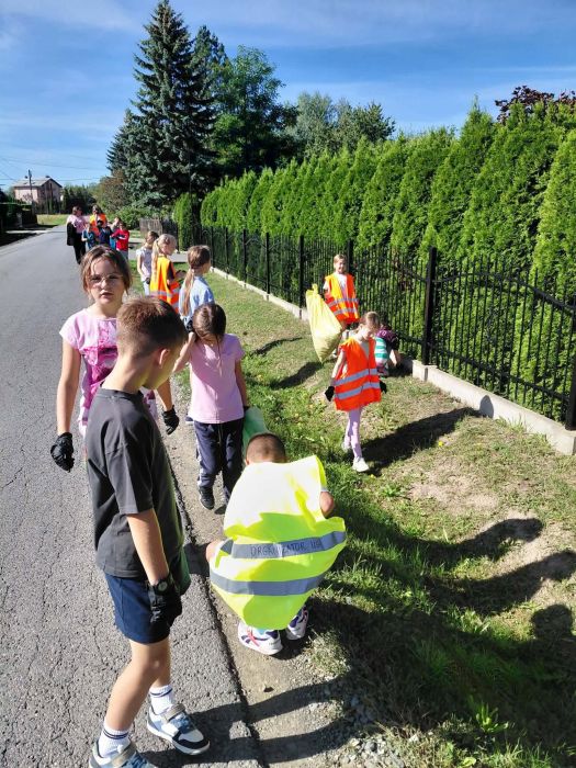 Sprzątanie świata w Strażowie 07.09.2026 r (3).jpg